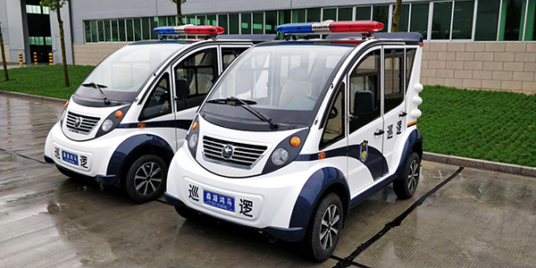 河北張家口市采購電動(dòng)巡邏車(圖2)