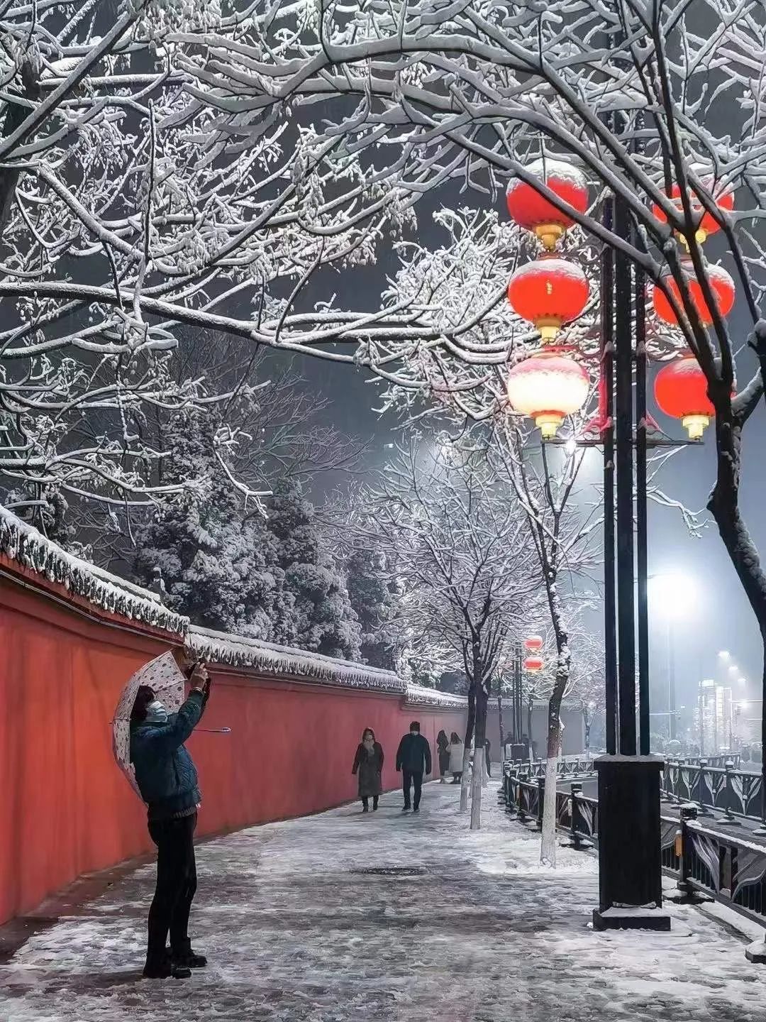 平安洛陽||風雪中·逆行者(圖3) 平安洛陽||風雪中·逆行者(圖3)